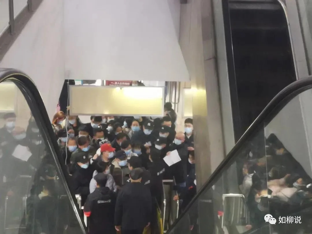 蛋壳暴雷·金融骗局·专家误国
